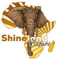 ShineLand Safari