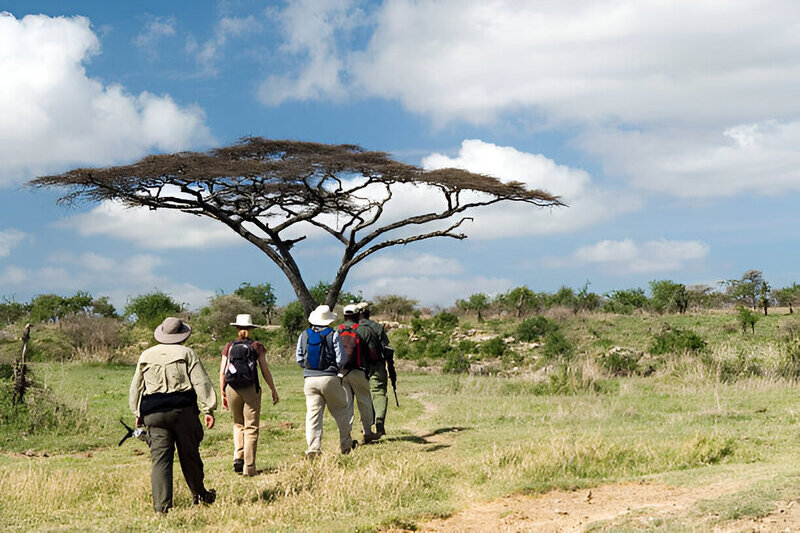 walking safari